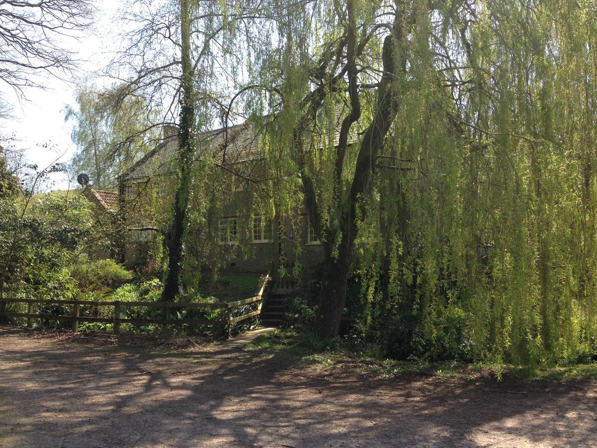 Bagnell Cottage Chiselborough Exteriör bild