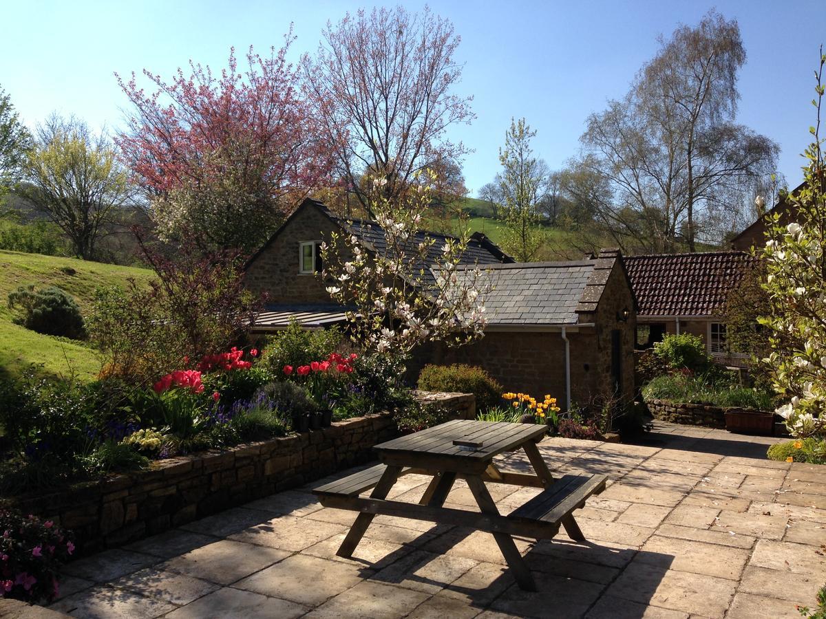 Bagnell Cottage Chiselborough Exteriör bild