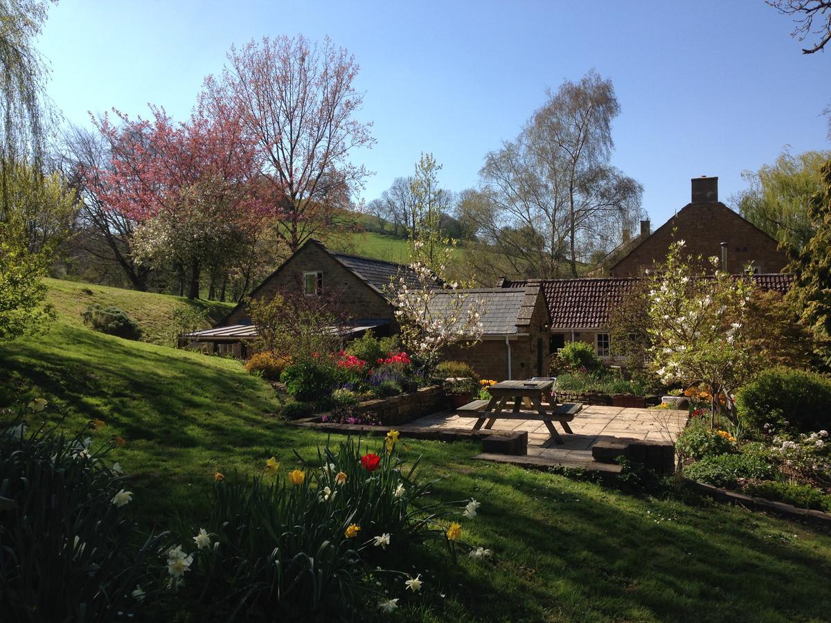 Bagnell Cottage Chiselborough Exteriör bild