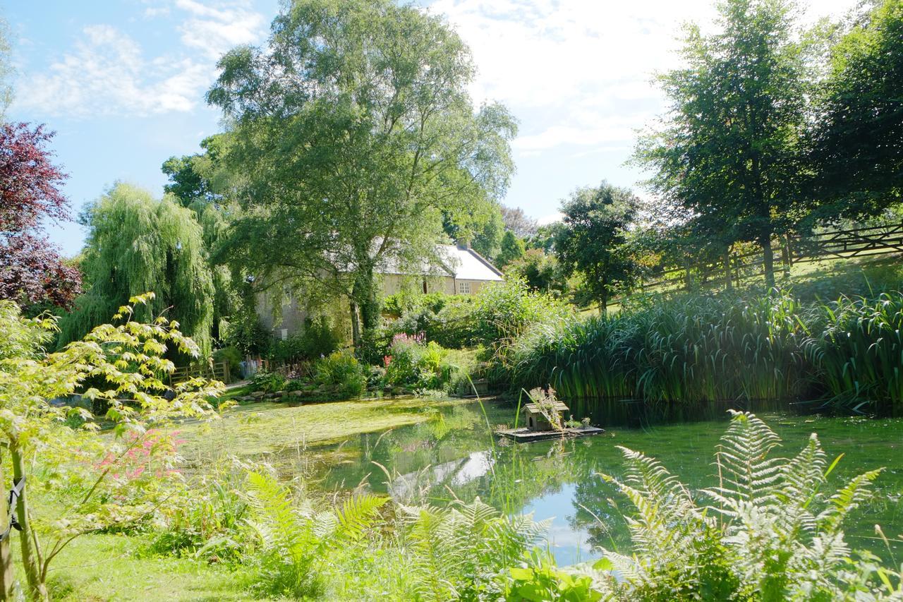 Bagnell Cottage Chiselborough Exteriör bild