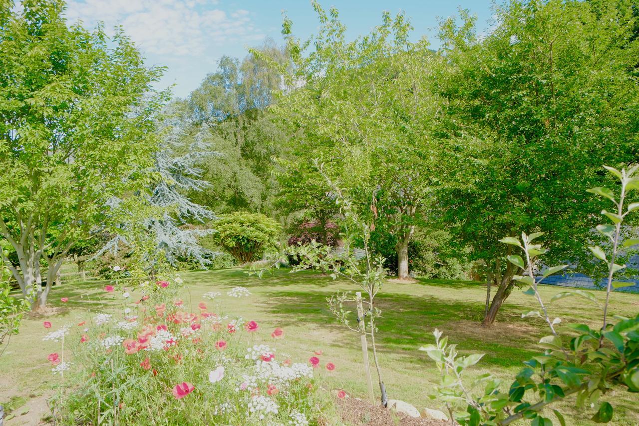 Bagnell Cottage Chiselborough Exteriör bild