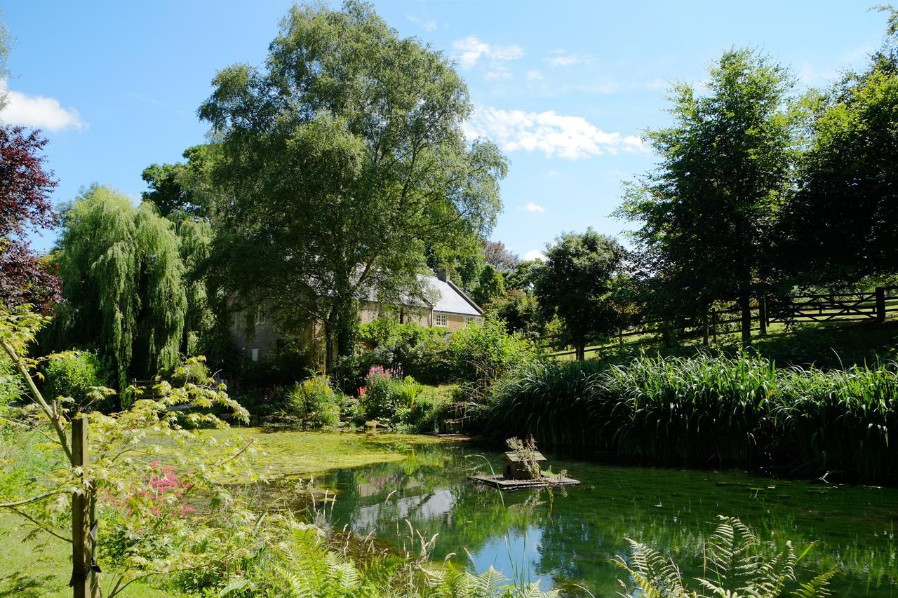 Bagnell Cottage Chiselborough Exteriör bild