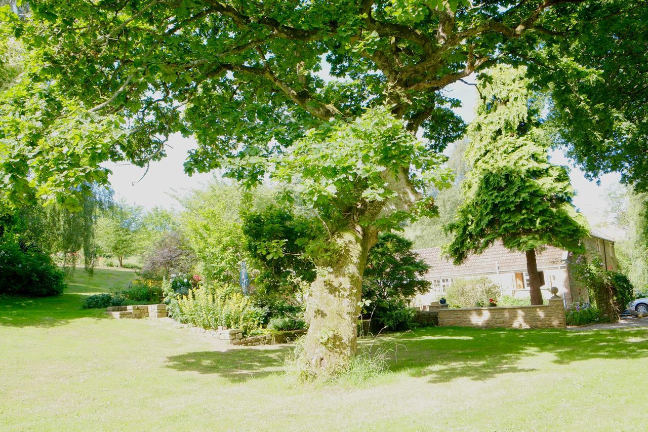 Bagnell Cottage Chiselborough Exteriör bild